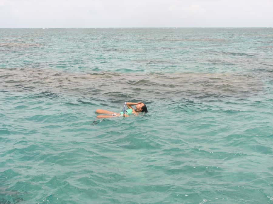 Maracajau Parrachos Reef: Mask and Snorkel swim adventure - What the $203 price really covers