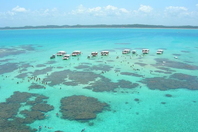 Maragogi / Alagoas Caribbean Brazilian - Why Maragogi’s low tide matters so much