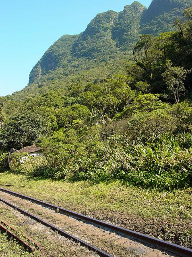 Morretes: Full Day Colonial Town Tour from Curitiba - What to bring and how to plan the day
