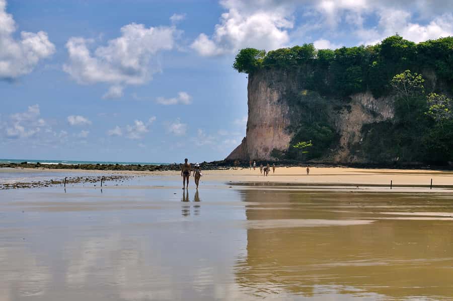 Natal: South Coast Day Tour by 4X4 with Pickup - Language, meals, and what to carry