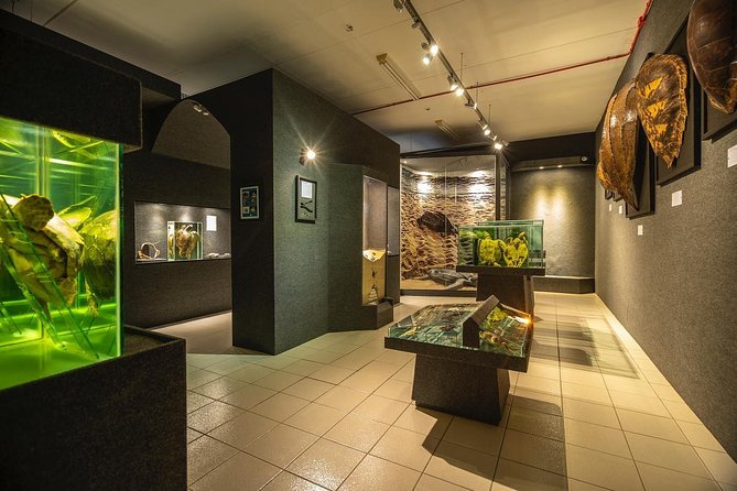 Official Ticket: Oceanographic Museum Univali - Piçarras - SC - Key points before you go