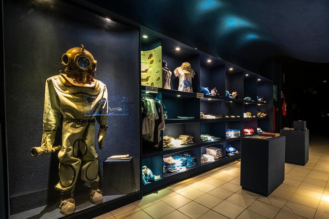 Official Ticket: Oceanographic Museum Univali - Piçarras - SC - Black wing: whaling, dolphins, and manatees