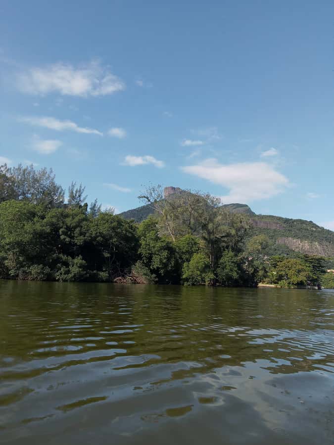 Pantanal of Rio de Janeiro - The boat ride among islands and mangroves
