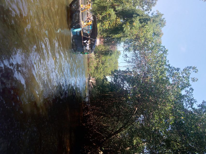 Pantanal of Rio de Janeiro - Gigóia Island and a slower side of Rio