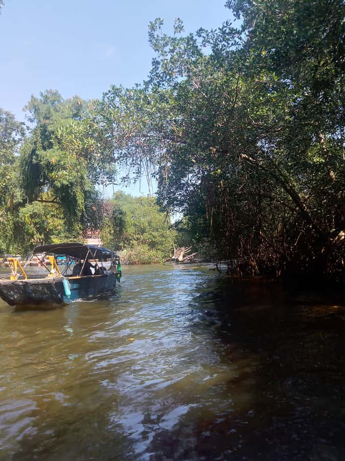 Pantanal of Rio de Janeiro - Meeting at Jardim Oceanico station