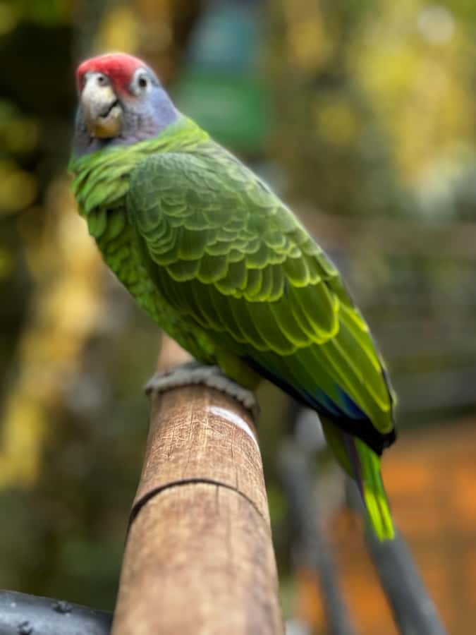 Paraguay + Argentina + Brazil Top Highlights - A city tour with local food and wine