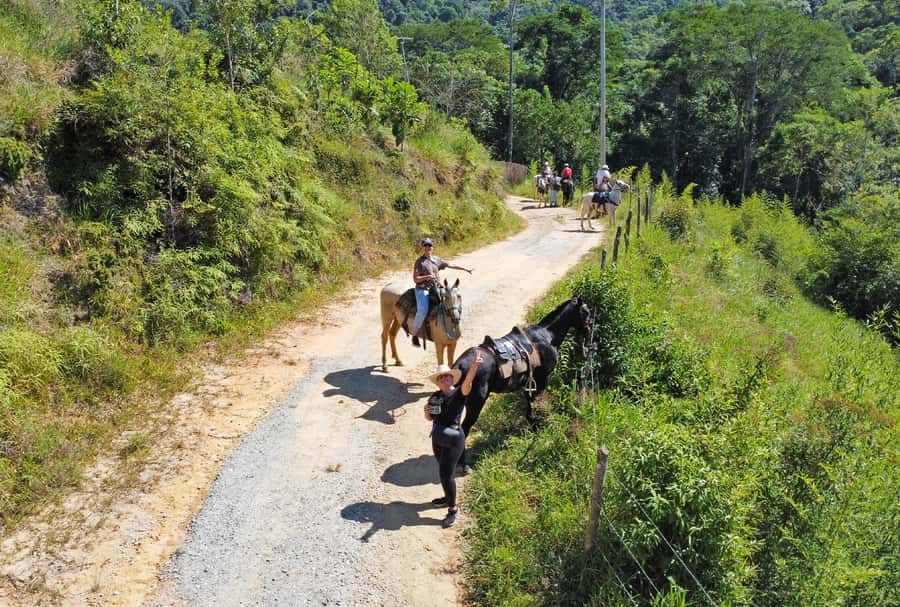 Paraty: 3-Hour Rainforest Horseback Ride - Booking, cancellation, and practical planning