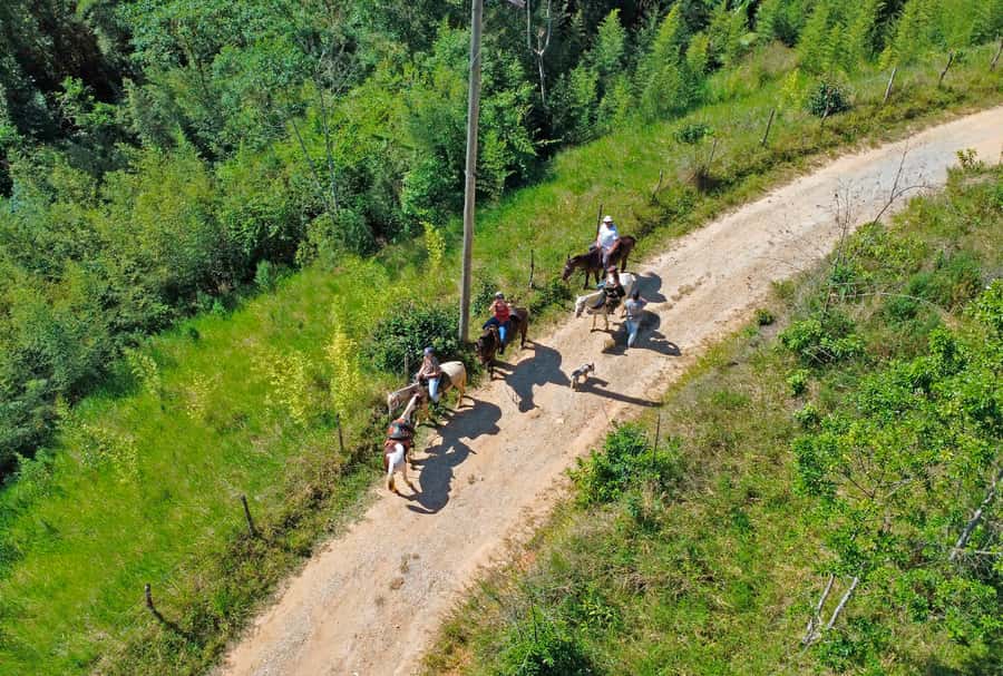 Paraty: 3-Hour Rainforest Horseback Ride - From central Paraty to the Pedras Azuis trailhead