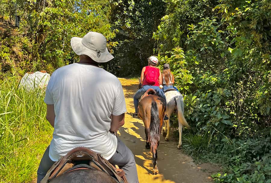Paraty: 3-Hour Rainforest Horseback Ride - Riding beside Serra da Bocaina National Park