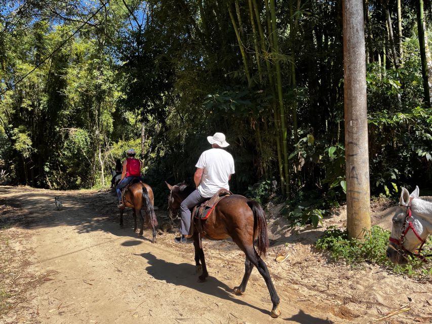 Paraty: 3-Hour Rainforest Horseback Ride - Waterfall bathing along the trail