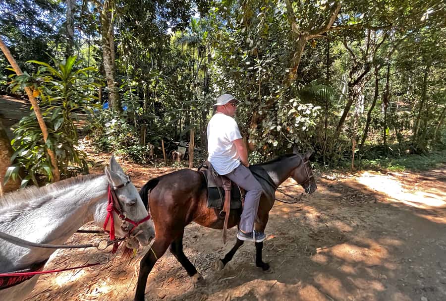Paraty: 3-Hour Rainforest Horseback Ride - Lookouts above Paraty and the bay