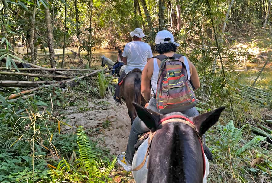 Paraty: 3-Hour Rainforest Horseback Ride - Who will enjoy this ride most