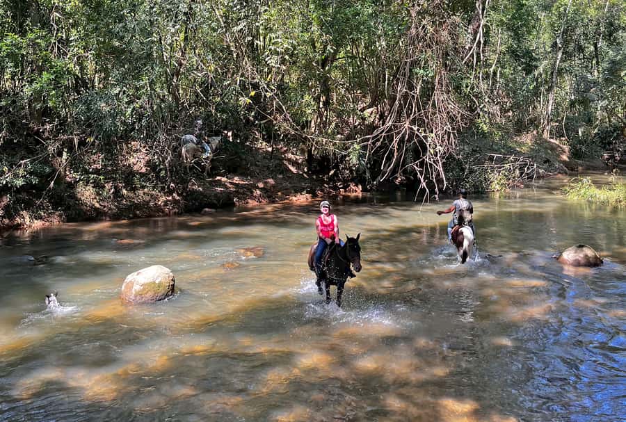 Paraty: 3-Hour Rainforest Horseback Ride - Meeting the horses and local monitor