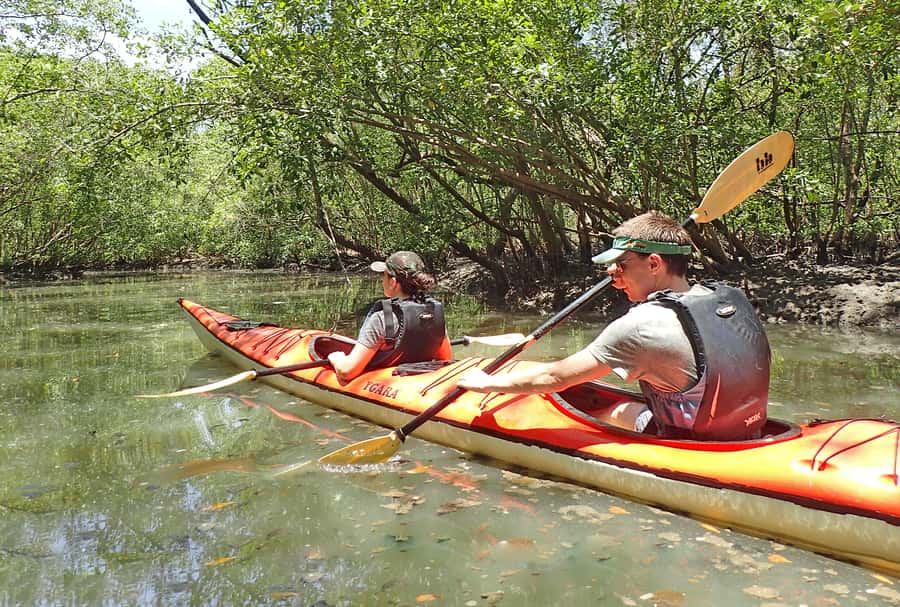 Paraty Bay: Half-Day Mangroves and Beaches Tour by Kayak - Setting off from Pontal Beach