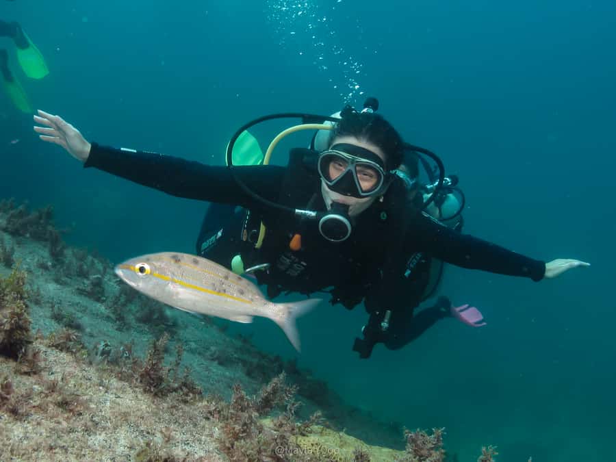 Paraty: Discovery Scuba Diving Experience for Beginners - Why Paraty works for a first underwater experience