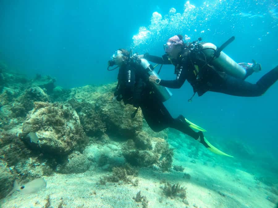Paraty: Discovery Scuba Diving Experience for Beginners - Getting comfortable before going below