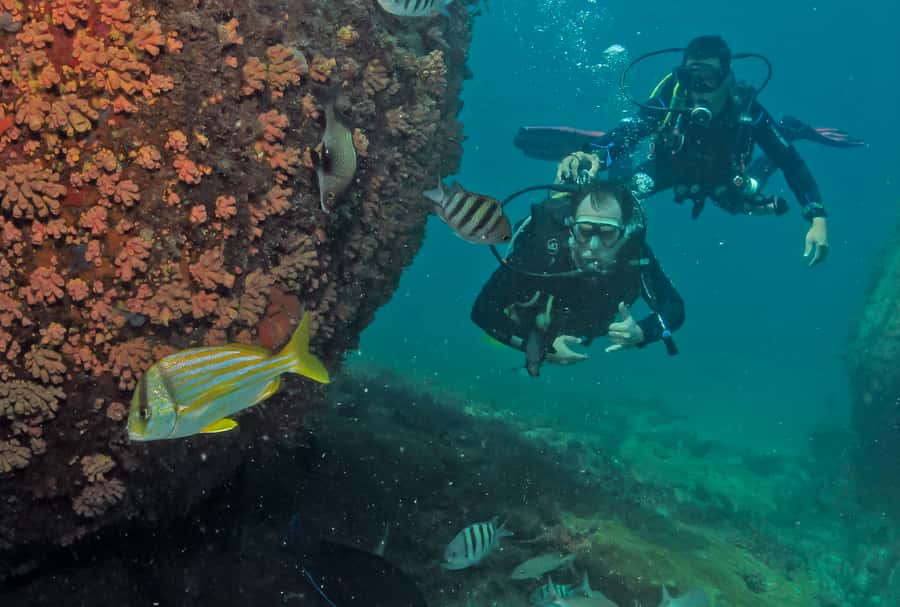 Paraty: Discovery Scuba Diving Experience for Beginners - What $150 gets you
