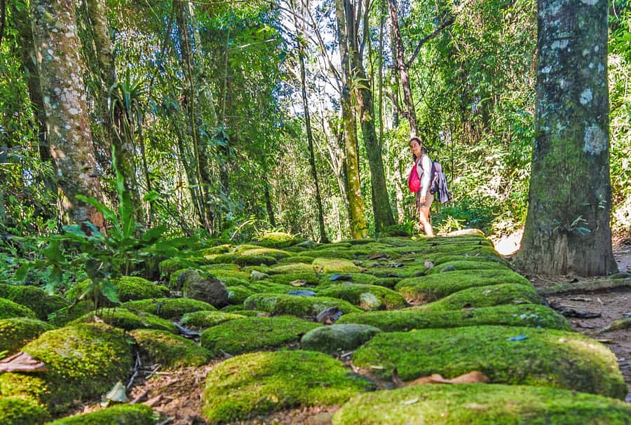 Paraty: Gold Trail Rainforest Hiking Tour - Key points to know before you book