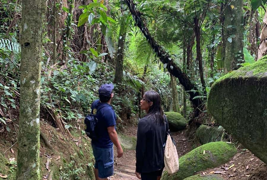 Paraty: Gold Trail Rainforest Hiking Tour - Practical preparation for the 3.6-kilometer route