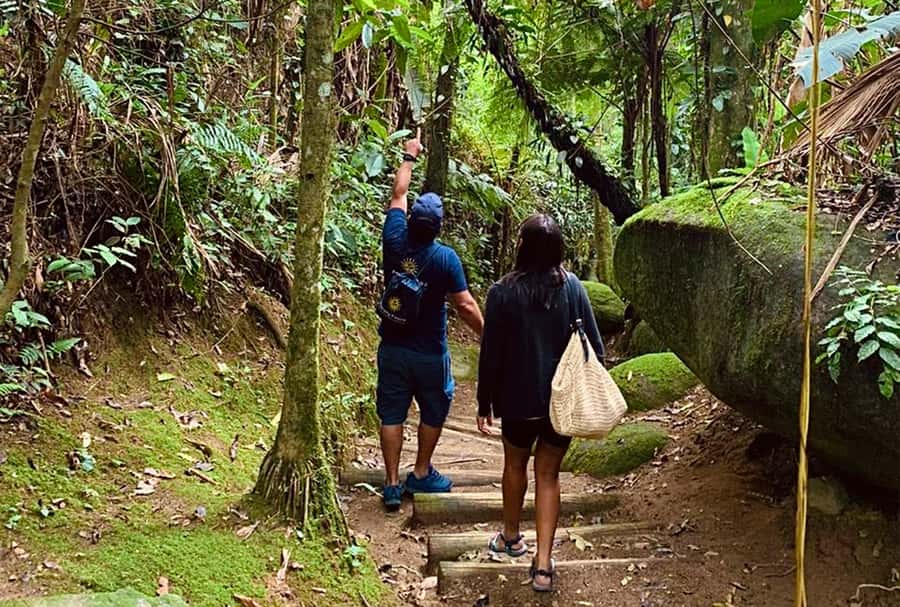 Paraty: Gold Trail Rainforest Hiking Tour - Into Serra da Bocaina National Park