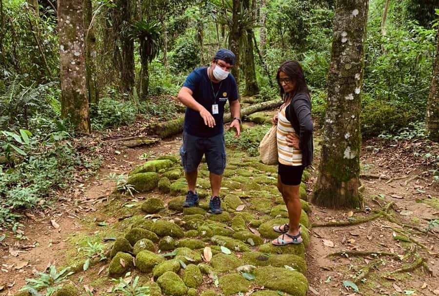 Paraty: Gold Trail Rainforest Hiking Tour - Seeing the Gold Trail through human history