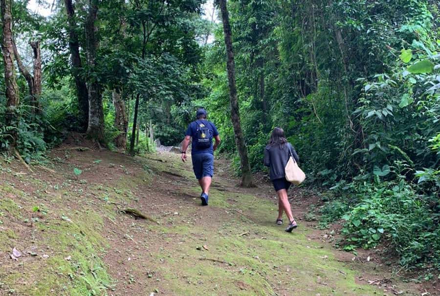 Paraty: Gold Trail Rainforest Hiking Tour - The optional Tobogã Waterfall stop