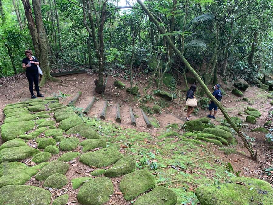 Paraty: Gold Trail Rainforest Hiking Tour - A look at Engenho do D’Ouro