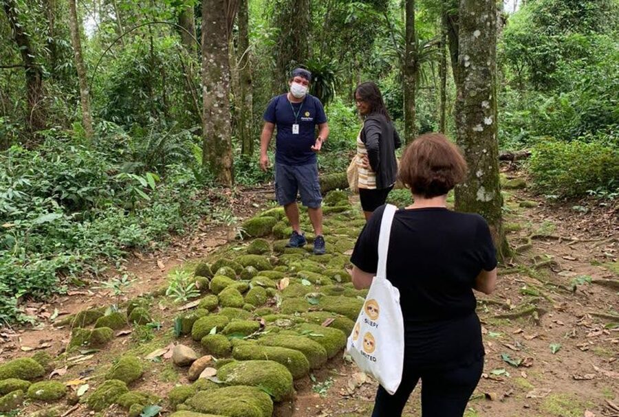 Paraty: Gold Trail Rainforest Hiking Tour - What the $75 price really covers