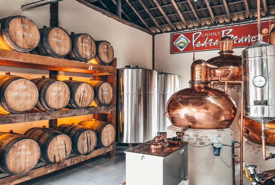 Paraty: Jungle Waterfalls and Cachaça Distillery Jeep Tour - Who should take this tour?