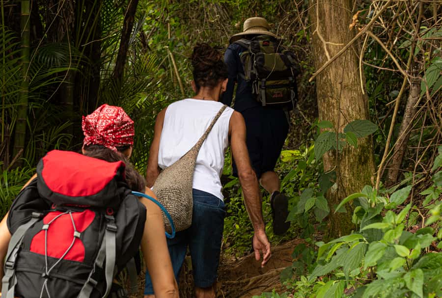 Paraty: Pão de Açucar Peak Trekking and Hiking Tour - Returning by boat to Paraty