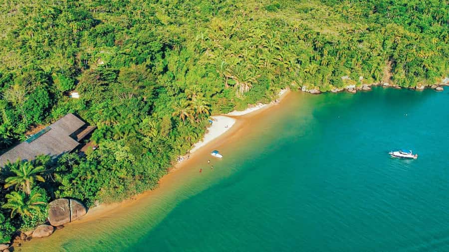 Paraty: Saco do Mamanguá Speedboat Tour - Key points at a glance