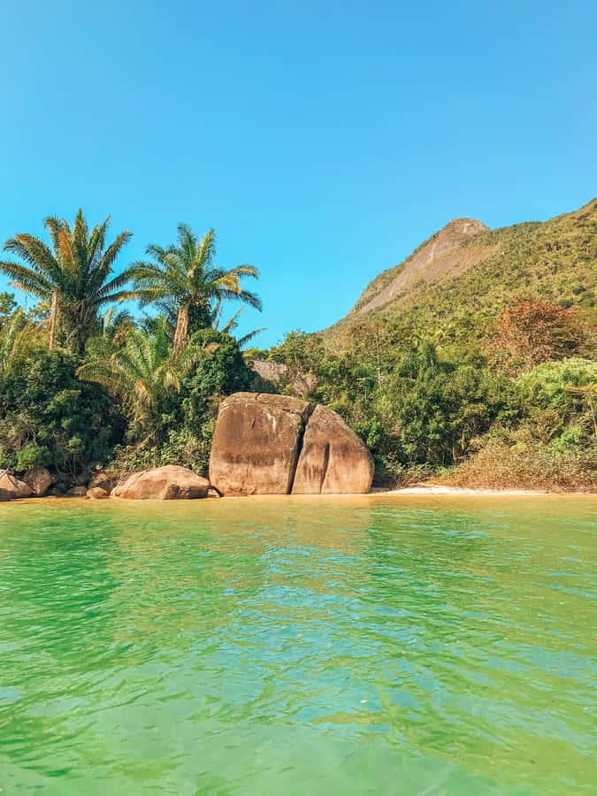 Paraty: Saco do Mamanguá Speedboat Tour - The surprise stop and the ride back