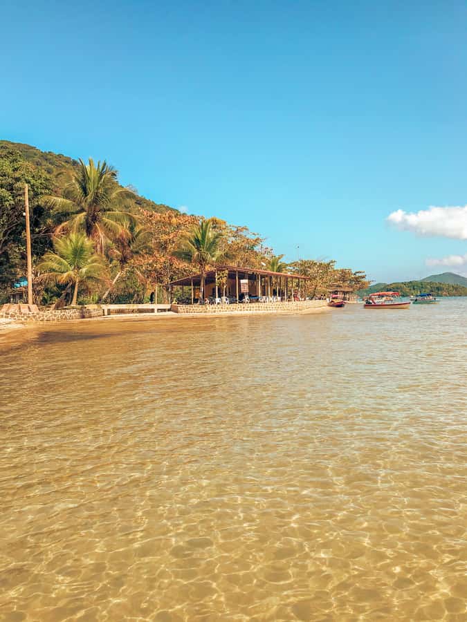 Paraty: Saco do Mamanguá Speedboat Tour - Communication, guides, and the small-group feel