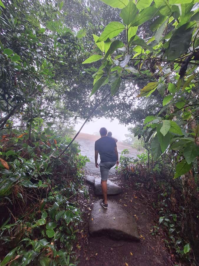 Pedra Bonita Trail: The easiest trail with a beautiful view of Rio - Why transport matters more than the short hike