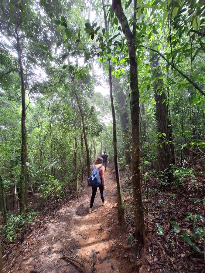 Pedra Bonita Trail: The easiest trail with a beautiful view of Rio - Is the $44 price good value?