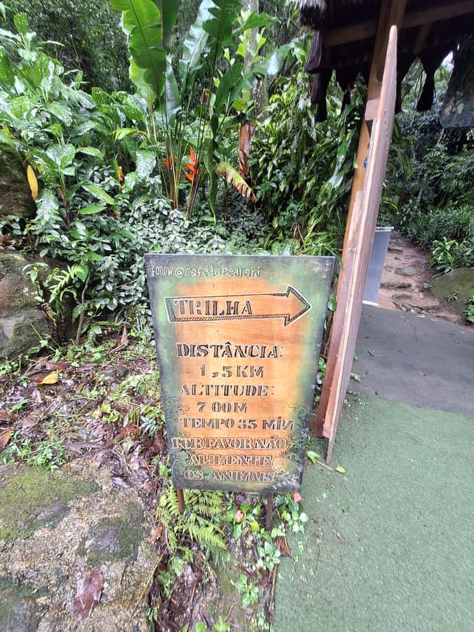 Pedra Bonita Trail: The easiest trail with a beautiful view of Rio - Timing, languages, and booking flexibility