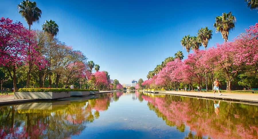 Porto Alegre: Private Citytour na Capital dos Gaúchos - Price, group size, and the real value