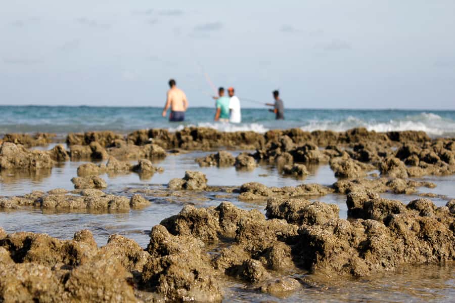 Porto Galinhas Full Day Tour - Key points to know before you go
