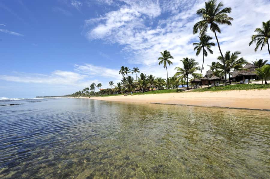 Porto Galinhas Full Day Tour - A full beach day, not a tightly packed sightseeing route
