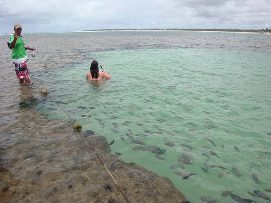 Porto Galinhas Full Day Tour - Booking details that affect your decision