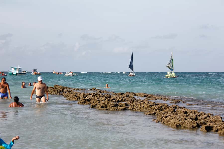 Porto Galinhas Full Day Tour - The natural pools are the main event