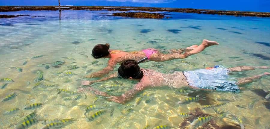 Praia de Paripueira Beach Day Tour - Key points to know before you book