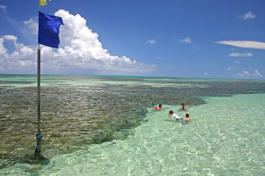 Praia de Paripueira Beach Day Tour - Swimming with fish in the natural pools