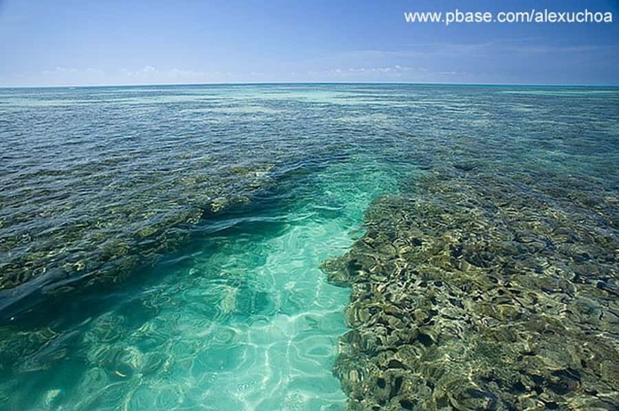 Praia de Paripueira Beach Day Tour - Is $107 a fair price for seven hours?