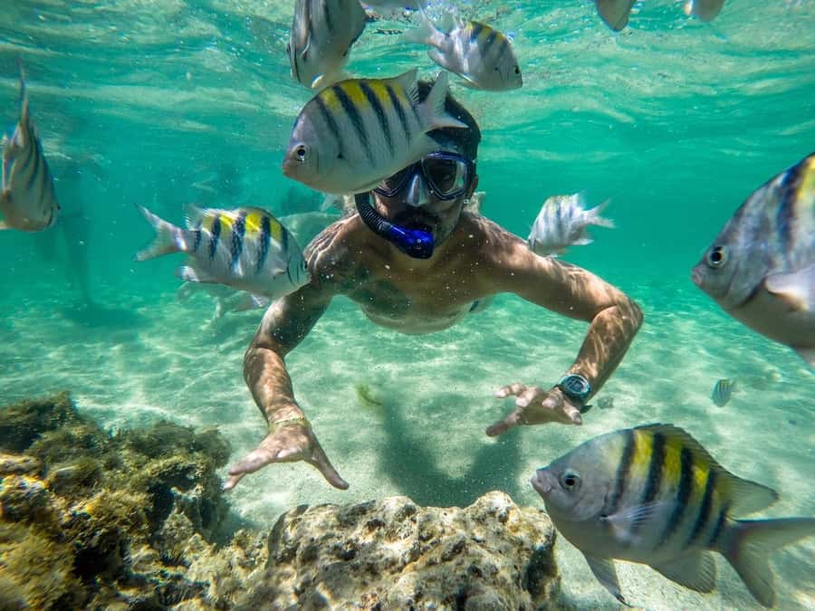 Praia de Paripueira Beach Day Tour - Who will enjoy this Paripueira day