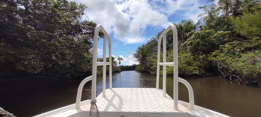 Preguicas River Speedboat Tour - Key points to know before booking