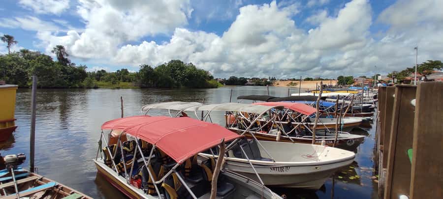Preguicas River Speedboat Tour - What the $35 price really buys you