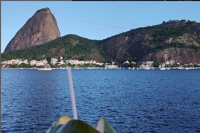 Private and Customizable Tour in Rio de Janeiro - Selarón Steps and downtown’s visual jolt