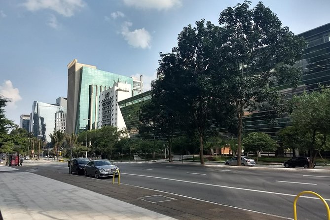 Private Half-Day Guided Tour to São Paulo - Key points at a glance