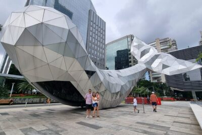 Private Half-Day Guided Tour to São Paulo